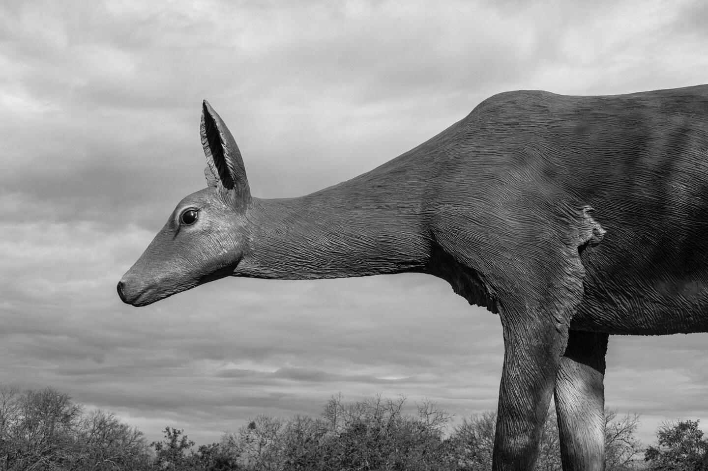 "Deer" by Tony Tasset at McNay Art Museum