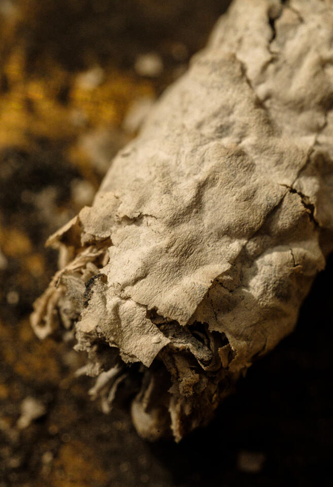 Macro photo of cigarette ash