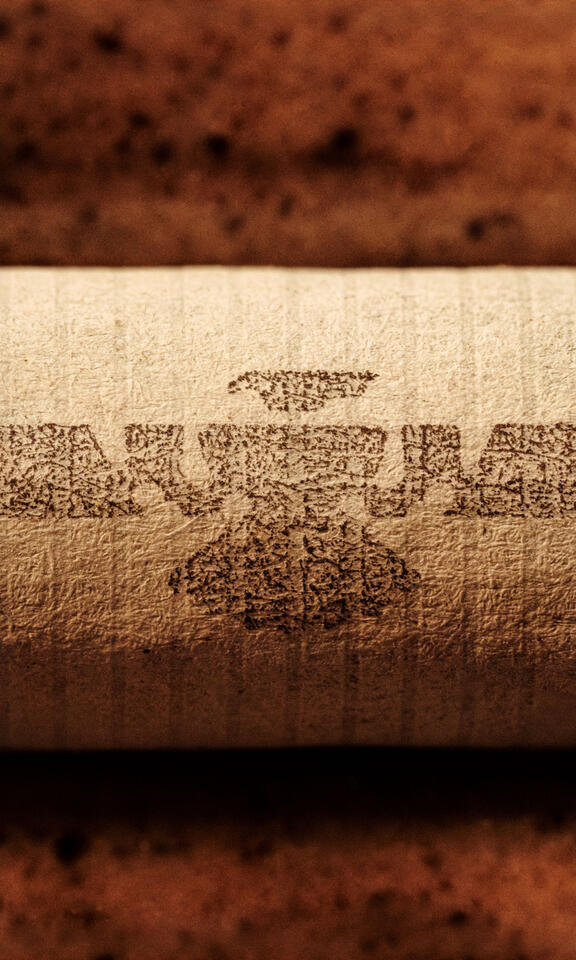 Macro photo of Natural American Spirit thunderbird logo mark stamped on cigarette.